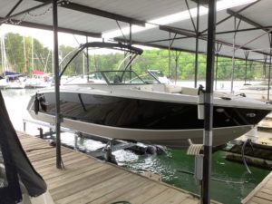 Black Tan Cobalt on Boat Lift